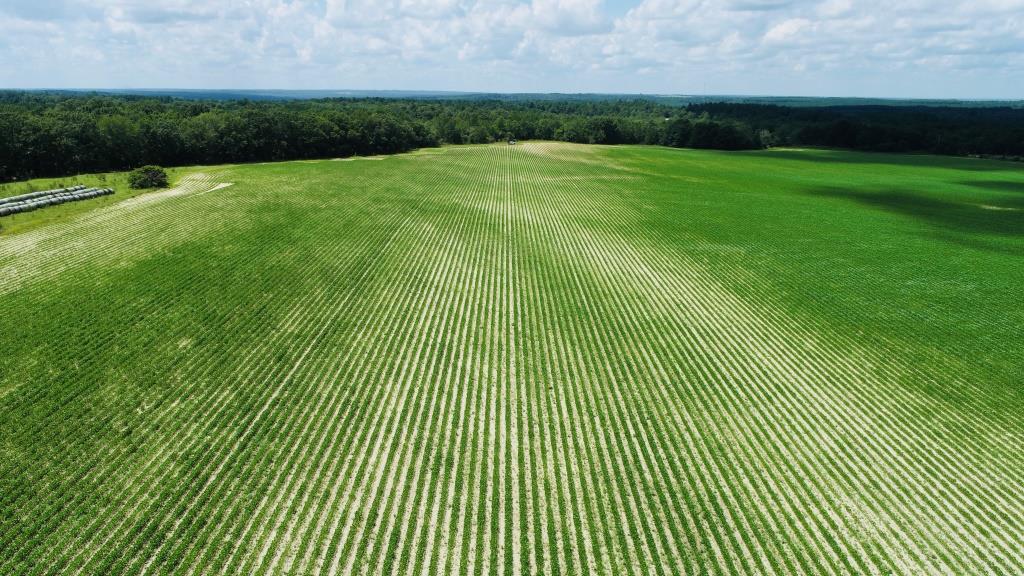 Fall Line Farm Photo