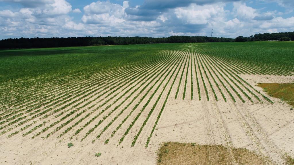 Fall Line Farm Photo