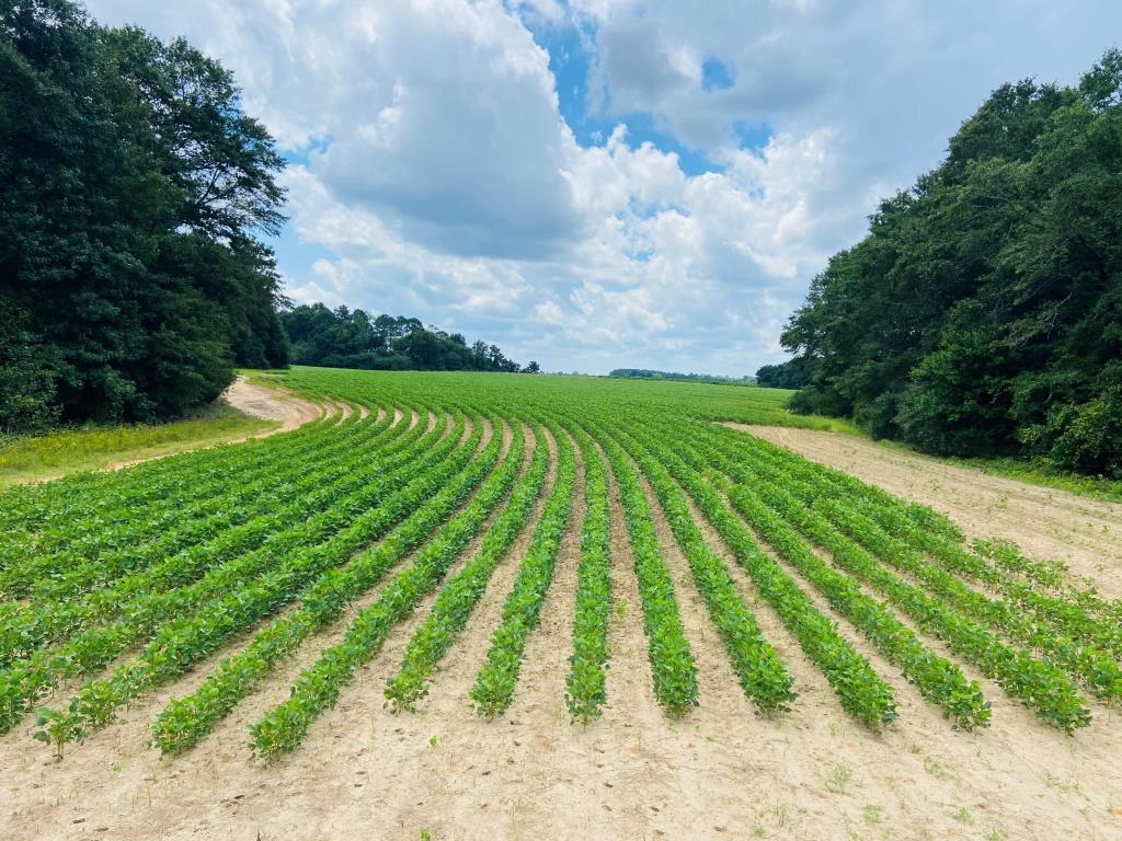 Fall Line Farm Photo