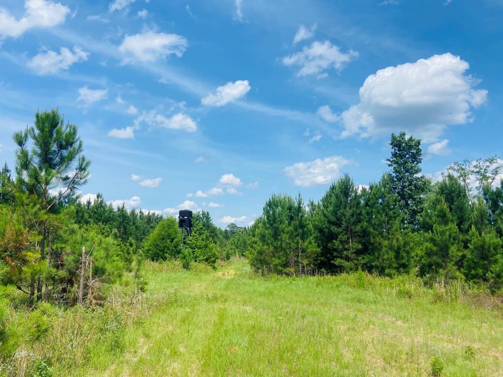 Holanna Creek Hunt Camp Photo