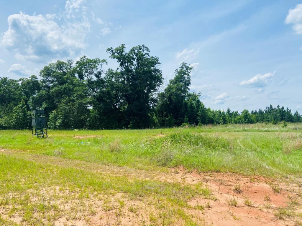 Holanna Creek Hunt Camp Photo