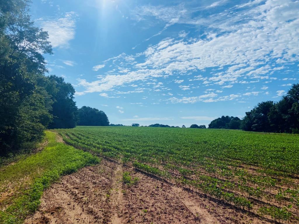 Fall Line Farm Photo