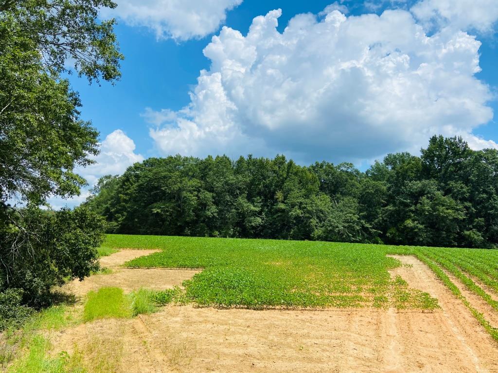 Fall Line Farm Photo