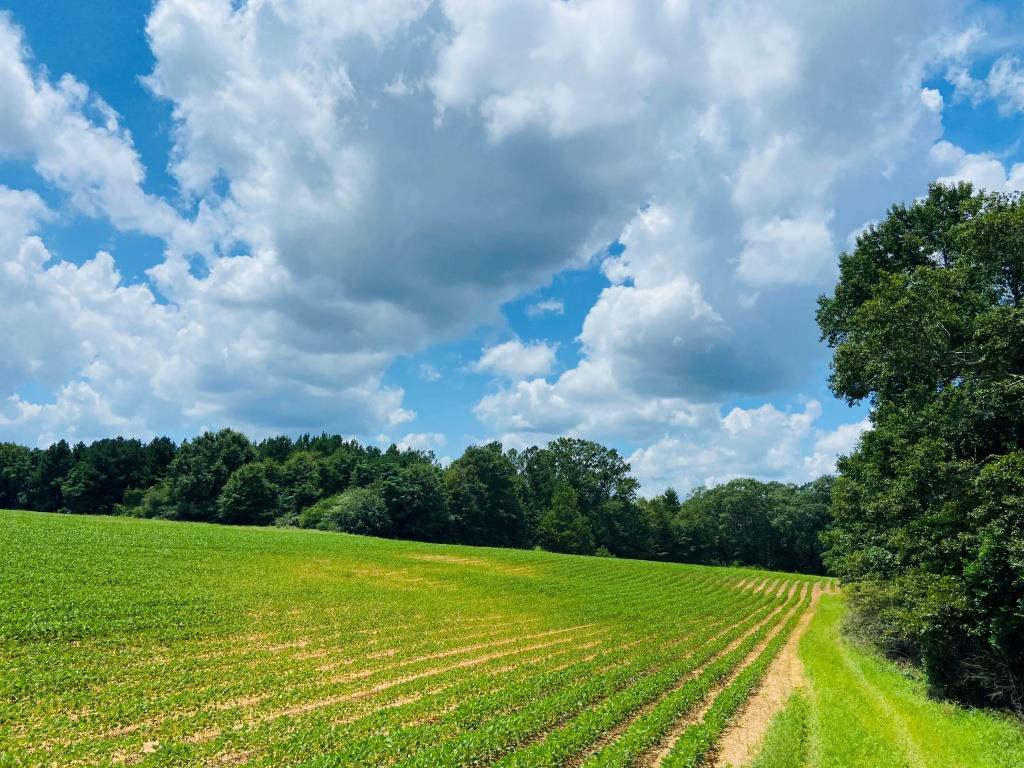 Fall Line Farm Photo