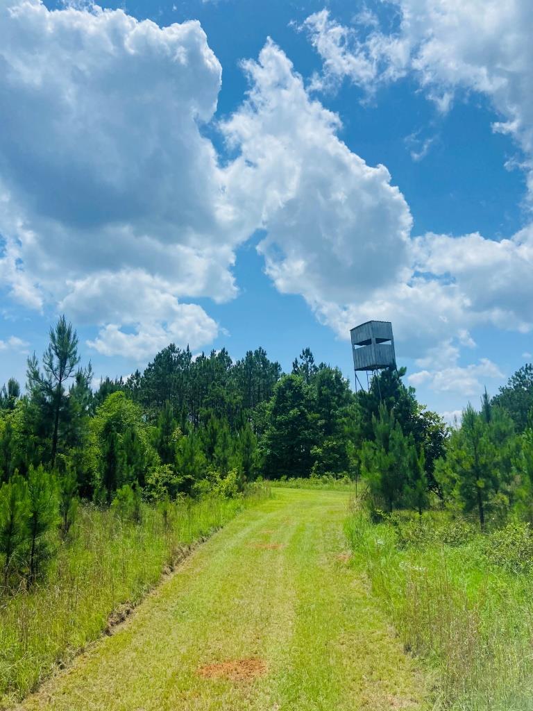 Holanna Creek Hunt Camp Photo