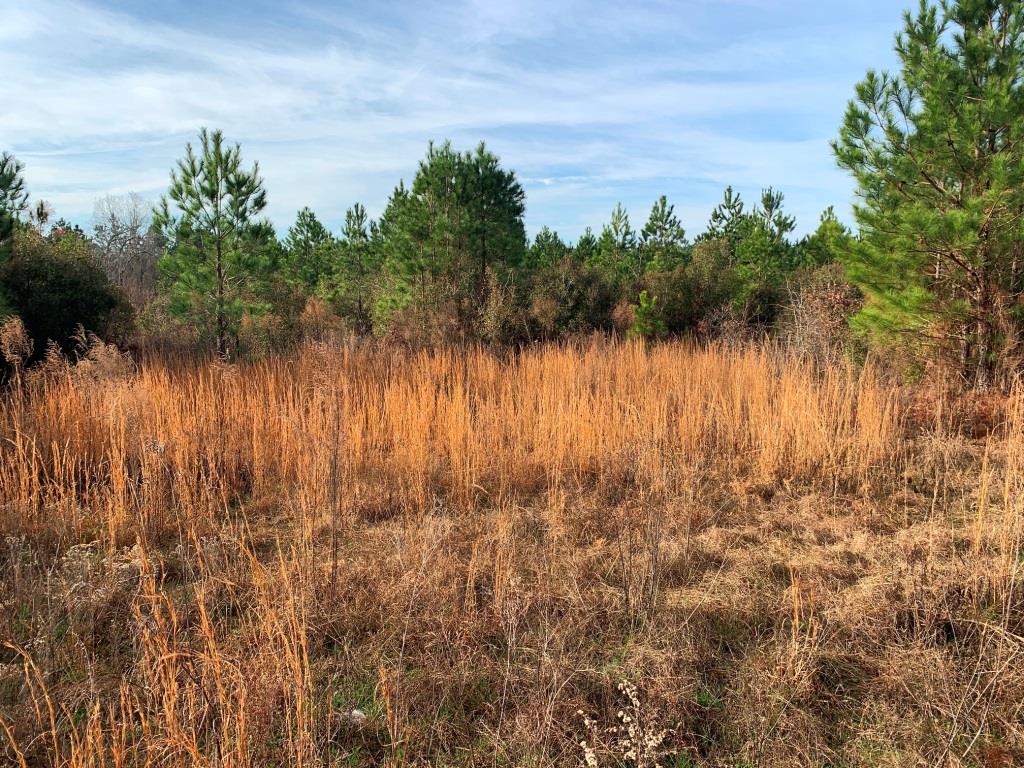 Indian Trail Homesite Photo