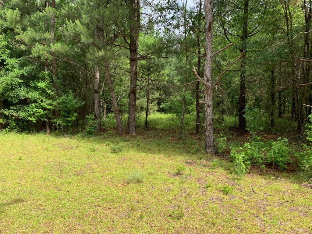 Hwy 301 Homesite Photo