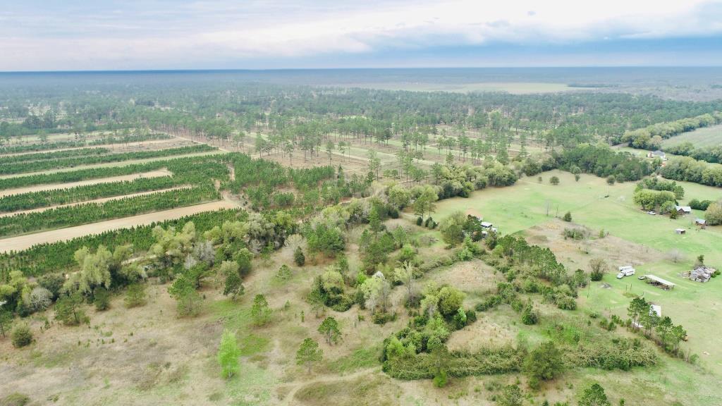 Plantation Belt Homesite Photo