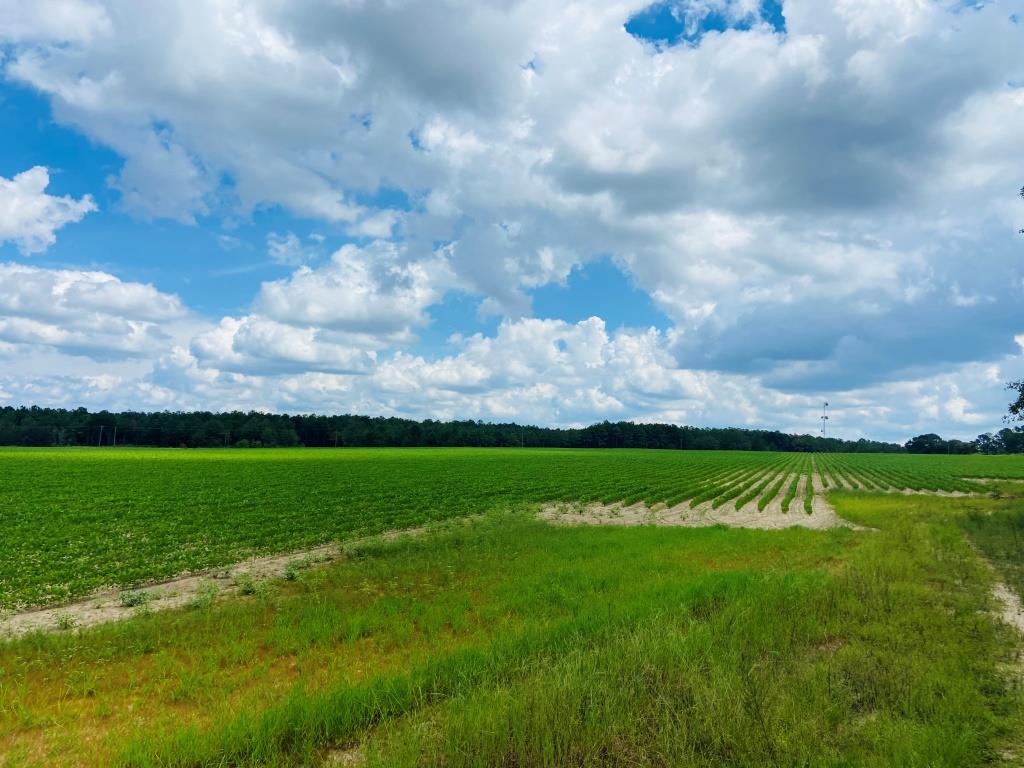 Fall Line Farm Photo