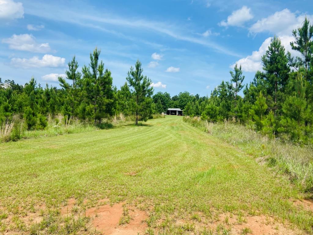 Holanna Creek Hunt Camp Photo