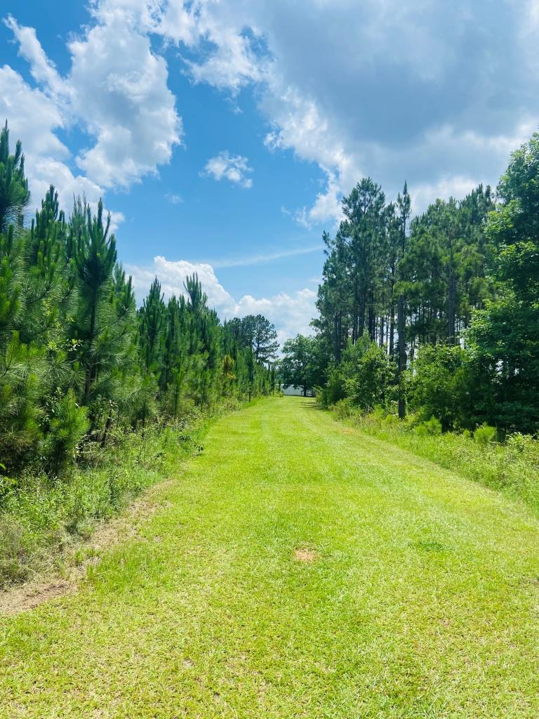 Holanna Creek Hunt Camp Photo