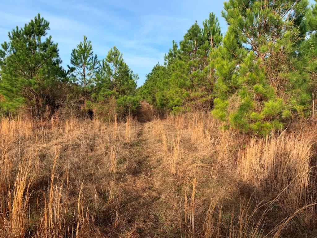 Indian Trail Homesite Photo