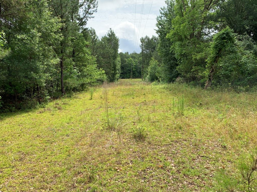 Hwy 301 Homesite Photo