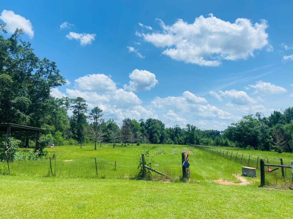 Holanna Creek Hunt Camp Photo