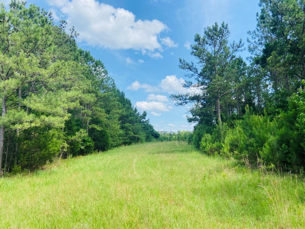 Holanna Creek Hunt Camp Photo