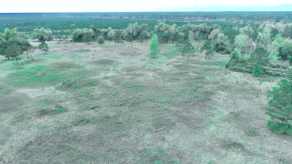 Plantation Belt Homesite Photo