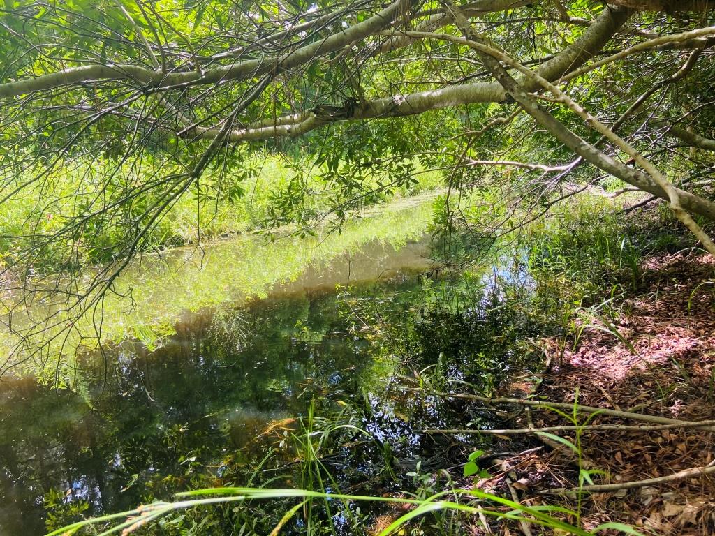 Sterling Creek Lot Photo