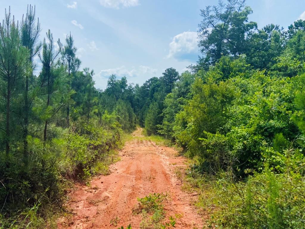 Holanna Creek Hunt Camp Photo