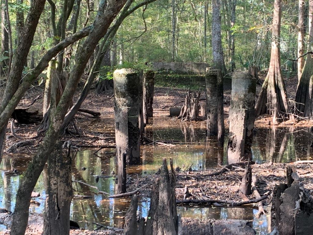 301 Ogeechee River Tract Photo