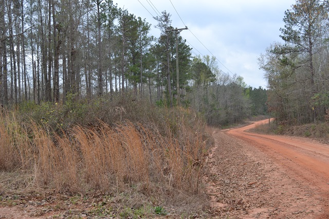 Hillside Tract Photo