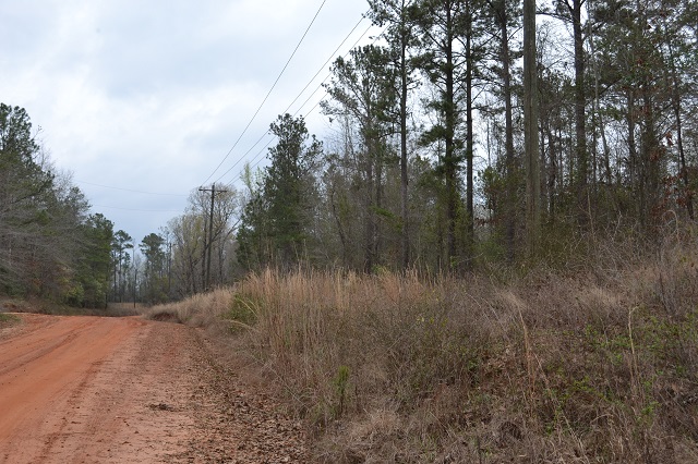 Hillside Tract Photo