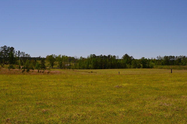 Hammock Road Farm Photo