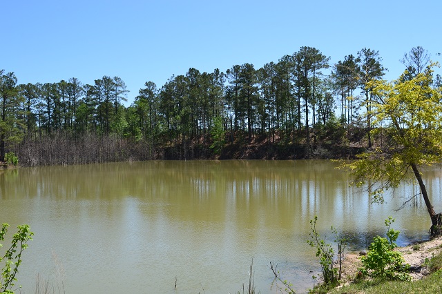 Hammock Road Farm Photo