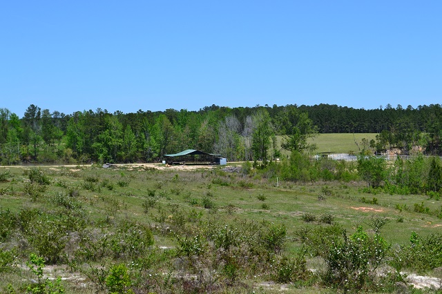 Hammock Road Farm Photo