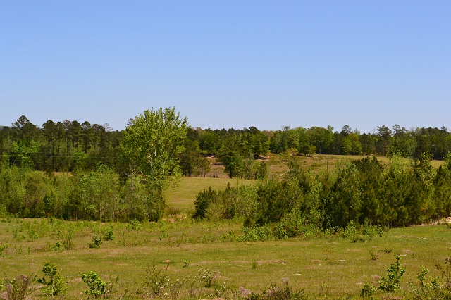 Hammock Road Farm Photo