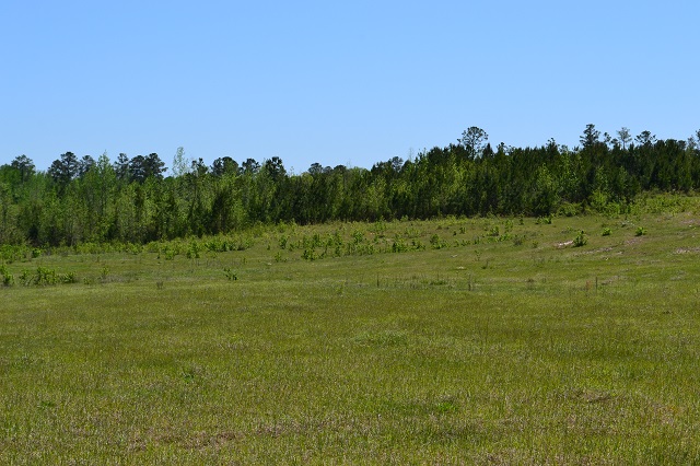 Hammock Road Farm Photo