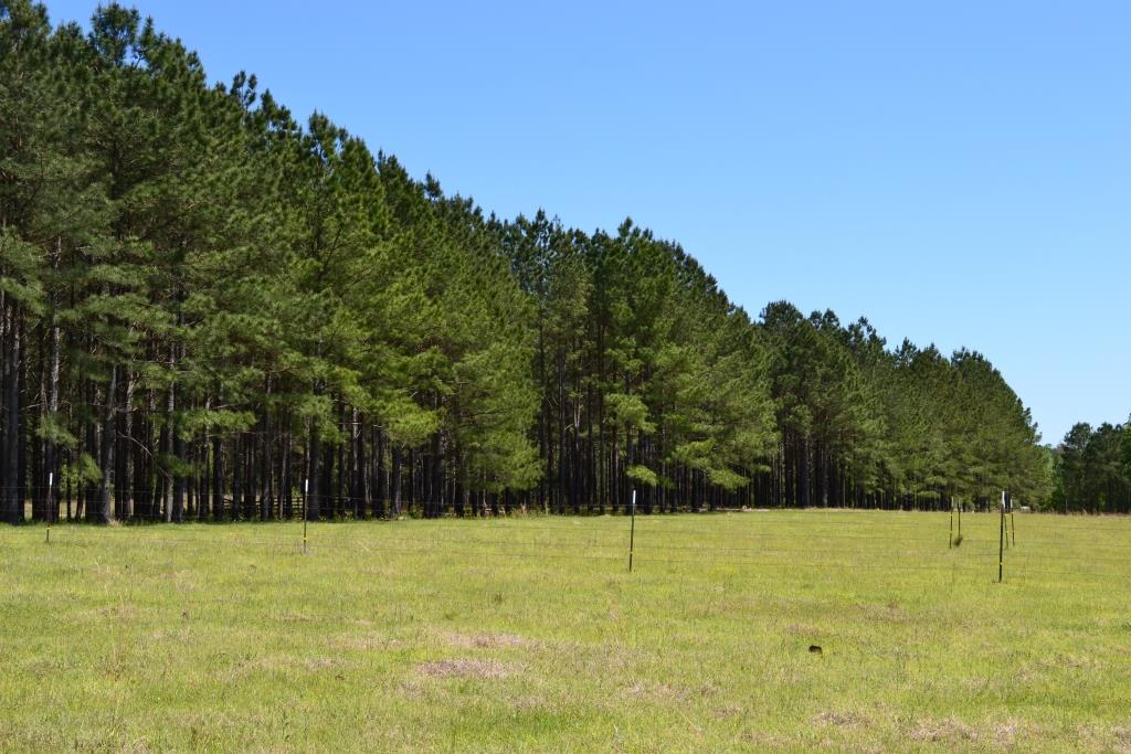 Hammock Road Farm Photo