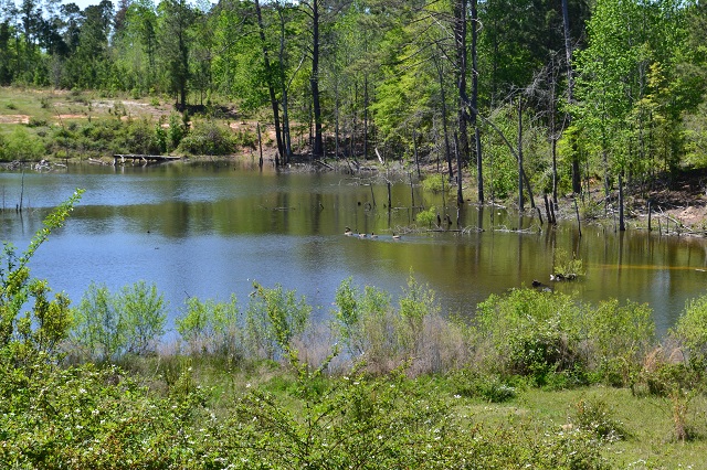 Hammock Road Farm Photo