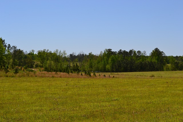 Hammock Road Farm Photo