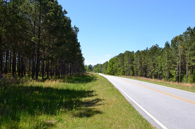 Hammock Road Farm Photo