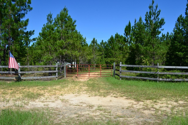 Brackens Creek Photo