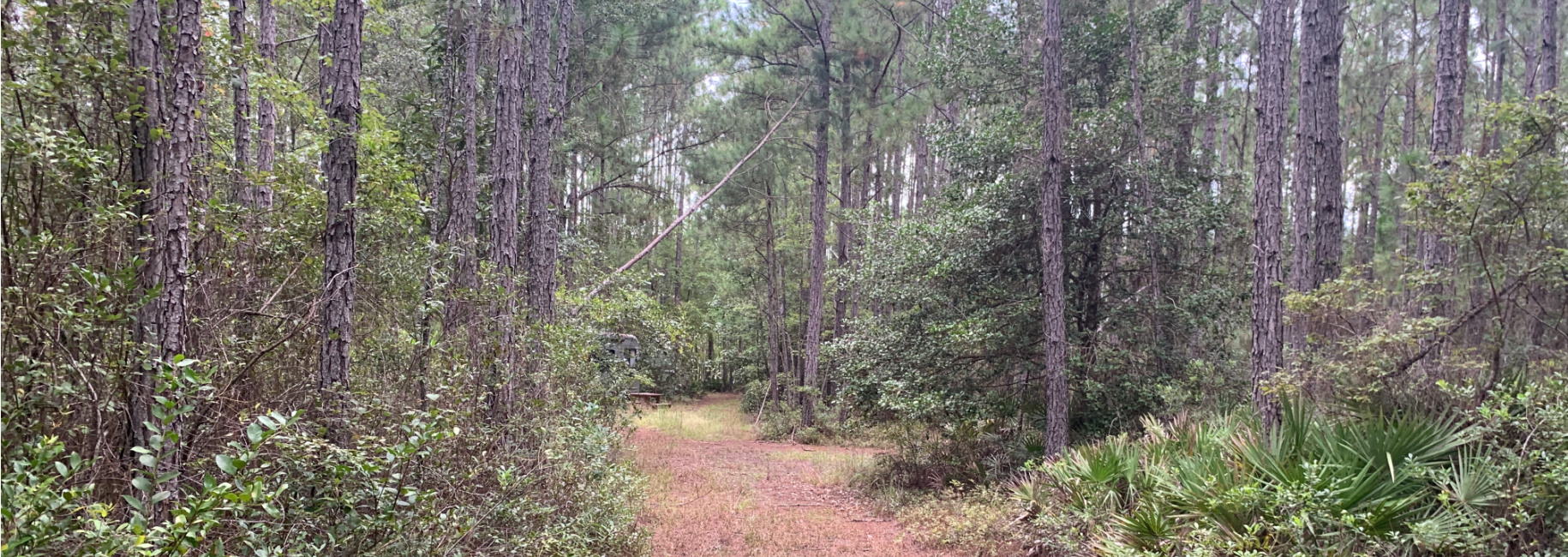 Brogdon Road Tract Main Photo