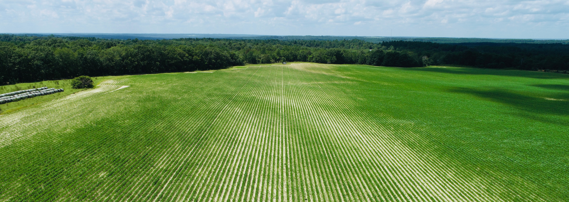 Fall Line Farm Main Photo