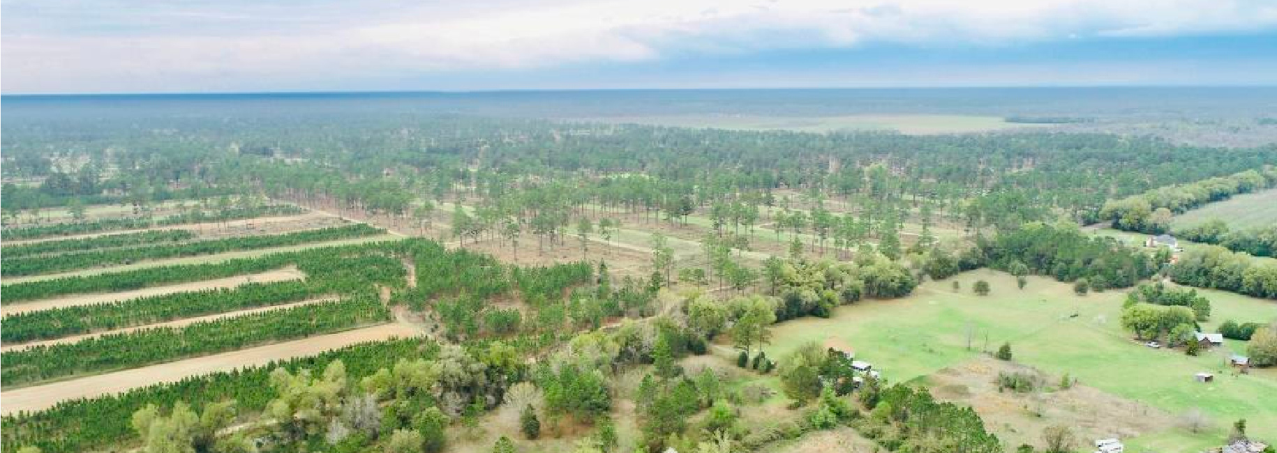 Plantation Belt Homesite Main Photo