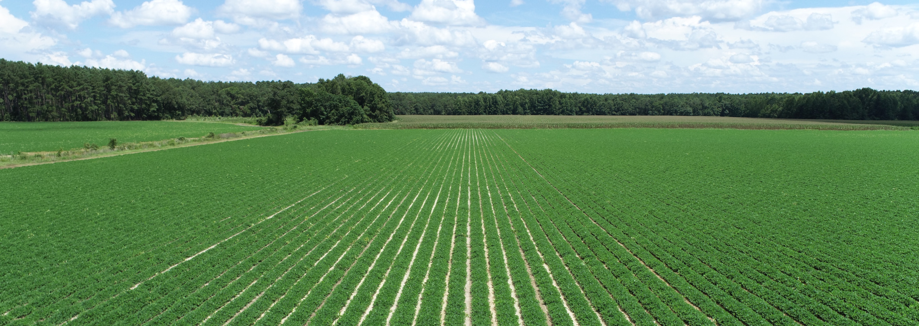 Roberts Bridge Farm Photo