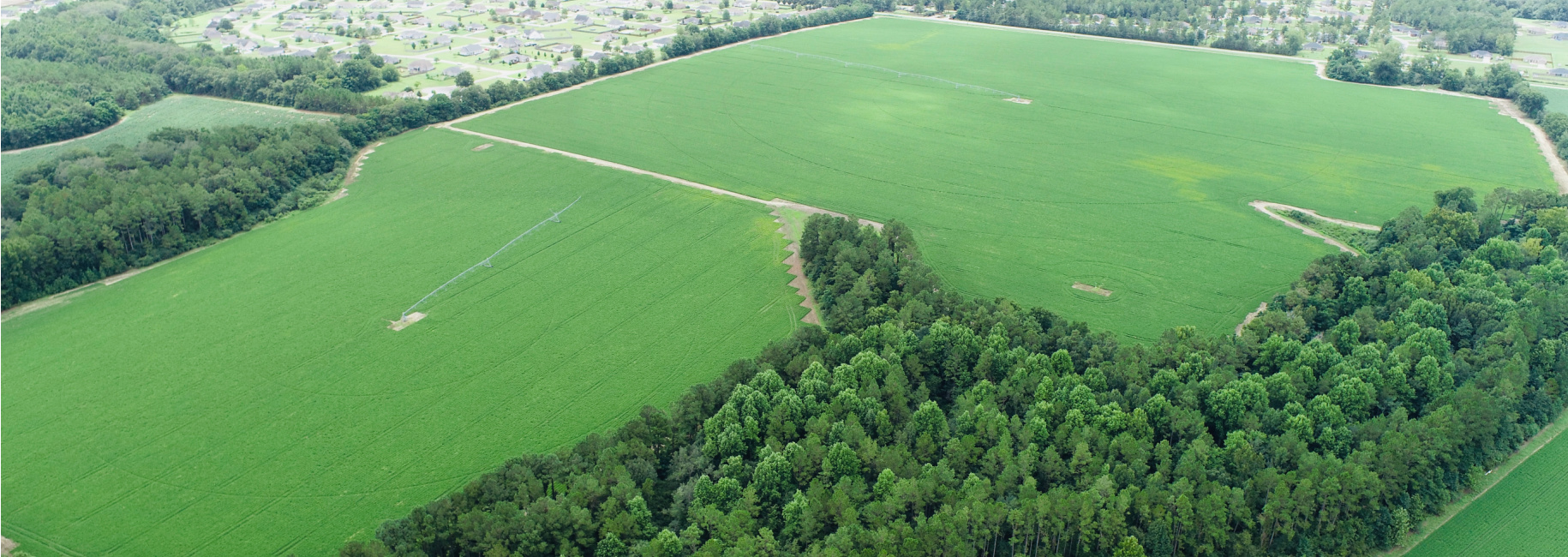 Statesboro Residential Development – Tract B Main Photo