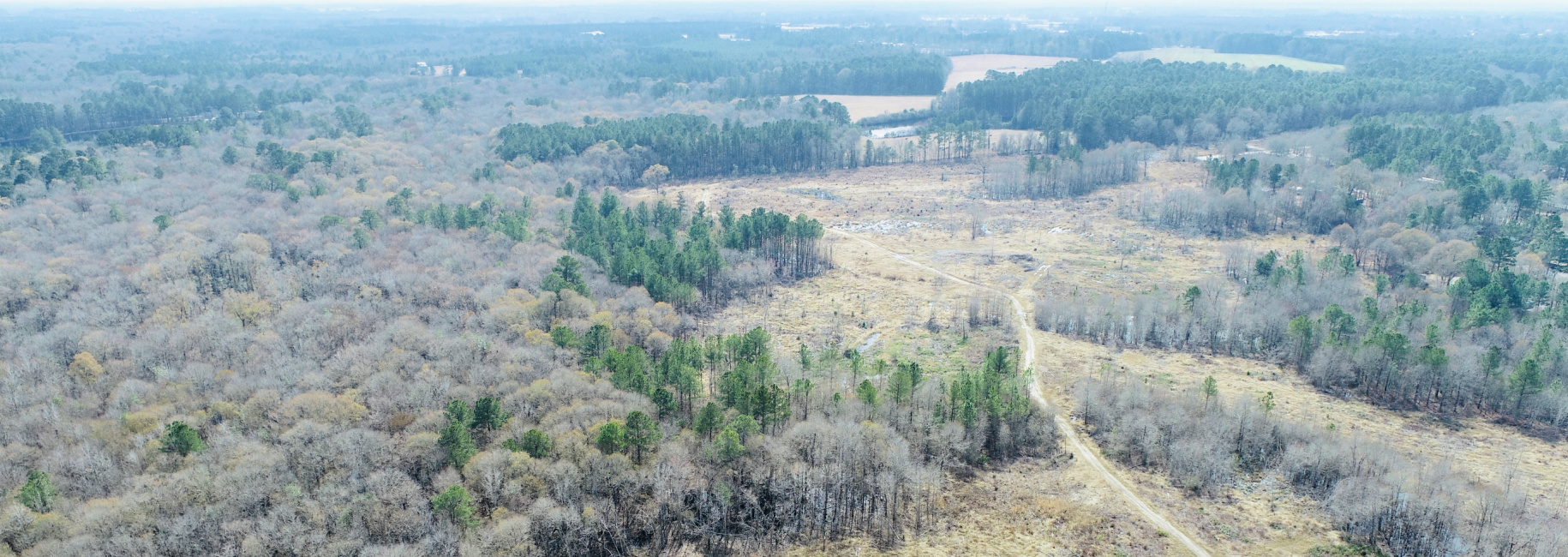 Willow Lake Tract Main Photo