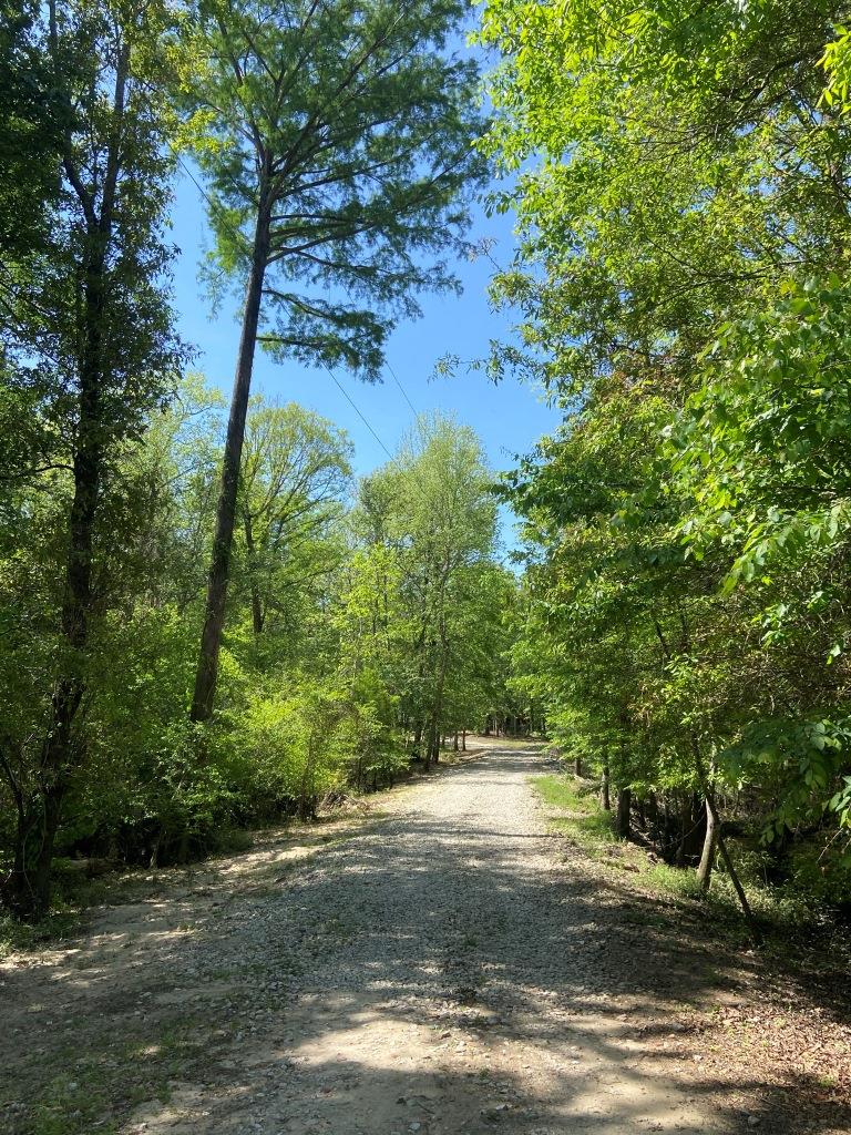 Brannen Landing River Retreat Photo