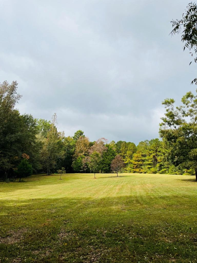 Shady Acres Farm Photo