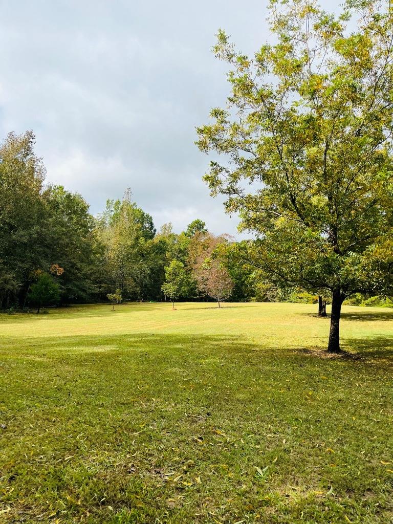 Shady Acres Farm Photo