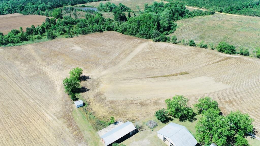 Jessie Gay Farm Photo