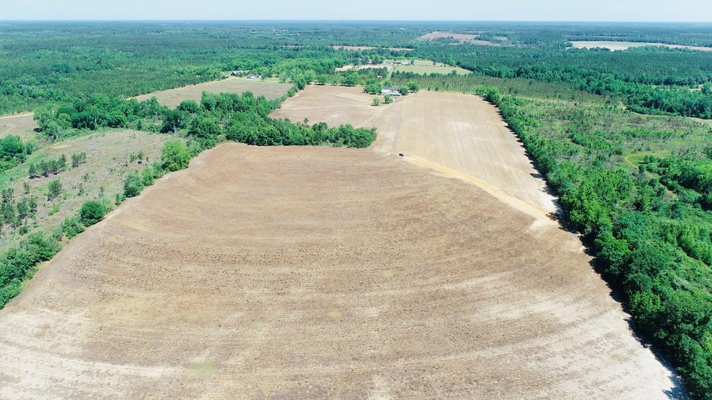 Jessie Gay Farm Photo