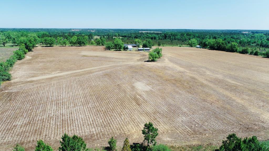 Jessie Gay Farm Photo