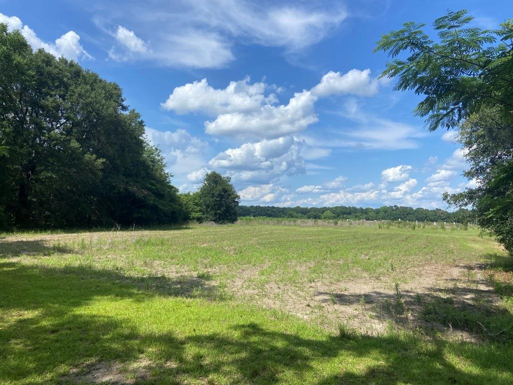 Old River Road – Lot 16 Photo