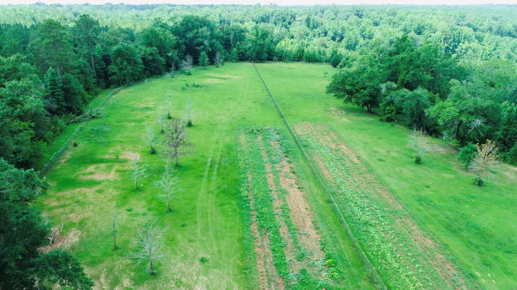 Holanna Creek Hunt Camp Photo