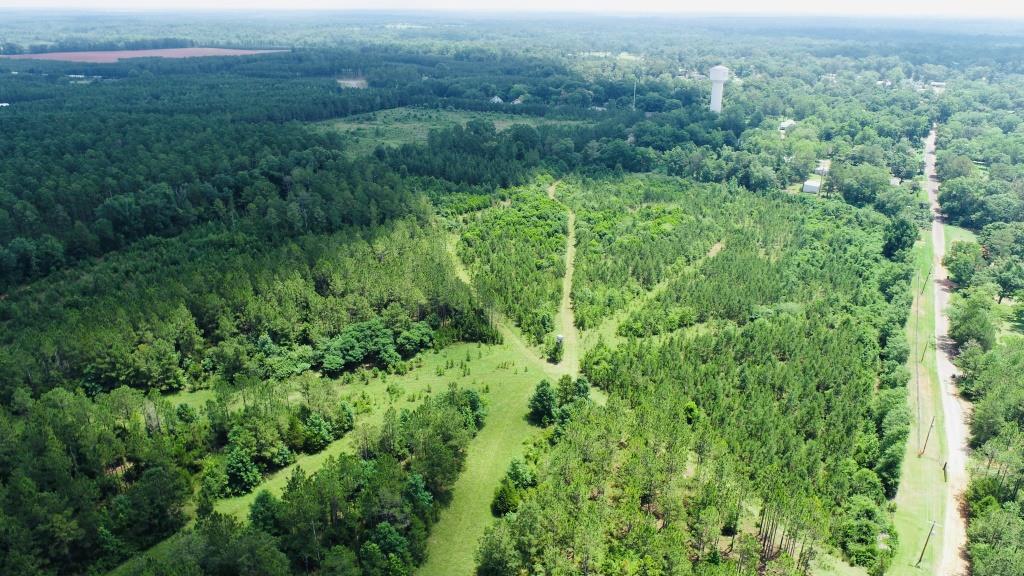 Holanna Creek Hunt Camp Photo